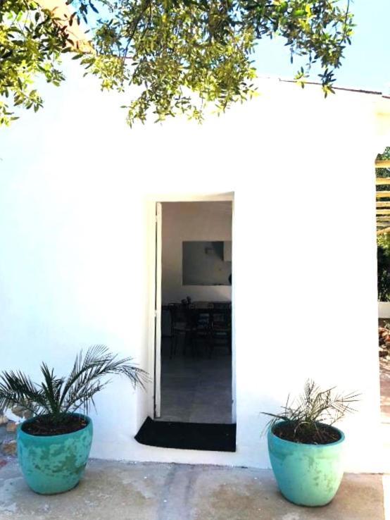 Villa Viña Magic Ciutadella  Exterior foto