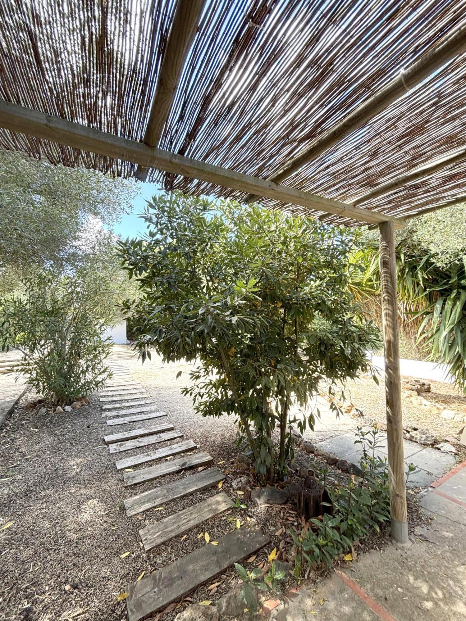 Villa Viña Magic Ciutadella  Exterior foto